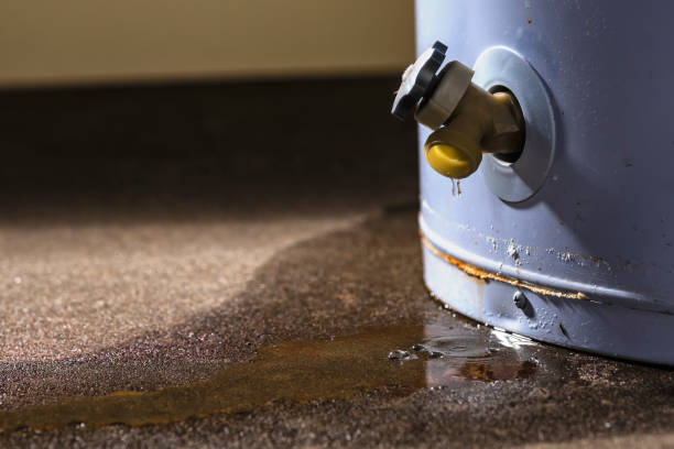 Best Water damage restoration near me  in Loyola, CA