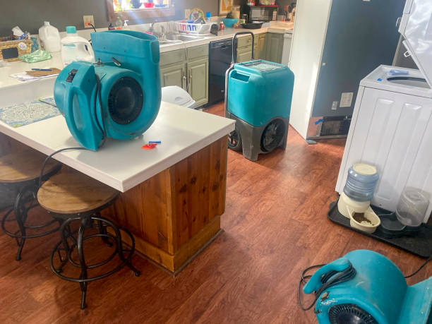Carpet water damage restoration in Loyola, CA