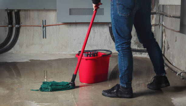 Best Carpet water damage restoration  in Loyola, CA