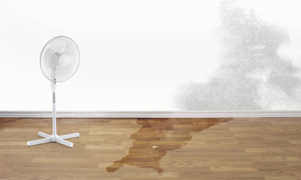 Best Commercial water damage restoration  in Loyola, CA