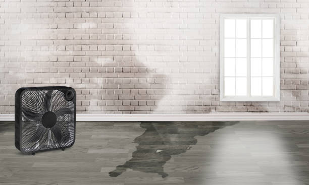 Water damage restoration insurance claims in Loyola, CA