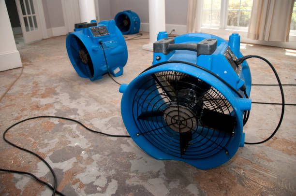 Best Water damage restoration insurance claims  in Loyola, CA