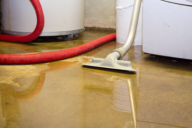 Reliable Loyola, CA Water damage restoration Solutions