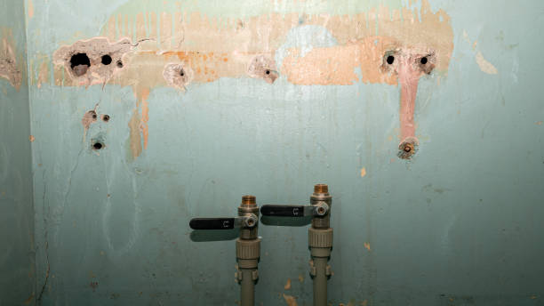 Best Residential water damage restoration  in Loyola, CA