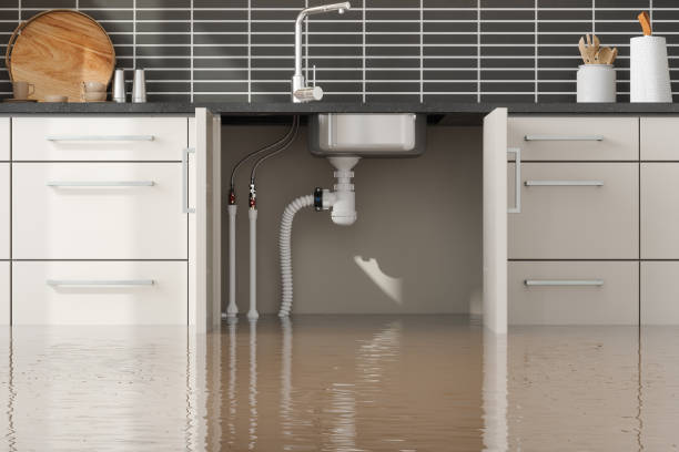 Best Mold removal after water damage  in Loyola, CA