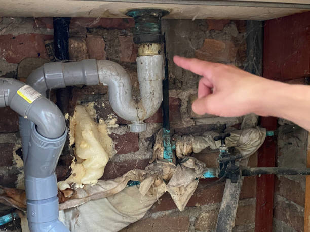 Best Water damage contractors near me  in Loyola, CA