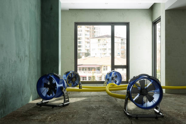 Best Water damage cleanup near me  in Loyola, CA